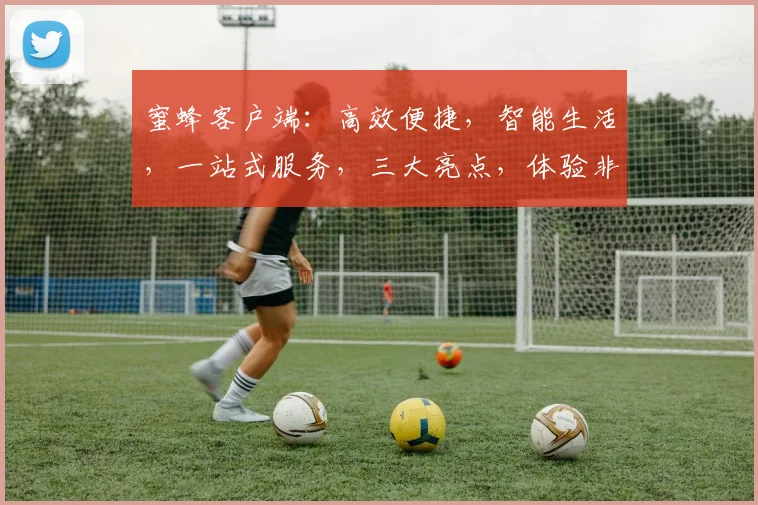 蜜蜂客户端：高效便捷，智能生活，一站式服务，三大亮点，体验非凡