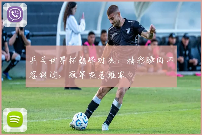 乒乓世界杯巅峰对决，精彩瞬间不容错过，冠军花落谁家