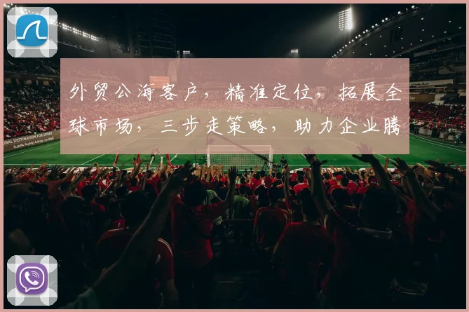 外贸公海客户，精准定位，拓展全球市场，三步走策略，助力企业腾飞，