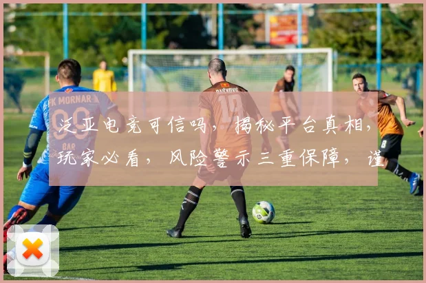 泛亚电竞可信吗，揭秘平台真相，玩家必看，风险警示三重保障，谨慎选择