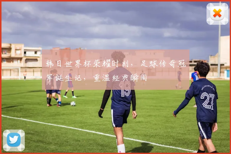 韩日世界杯荣耀时刻，足球传奇冠军诞生记，重温经典瞬间