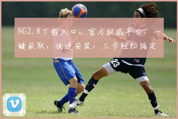 NG2.8下载入口，官方权威平台，一键获取，快速安装，三步轻松搞定，不容错过